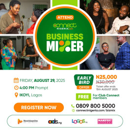 Connect Nigeria Business Mixer, August Edition 2025