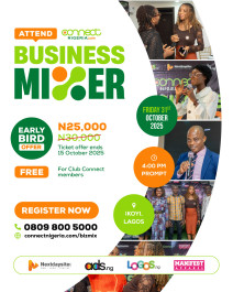 Connect Nigeria Business Mixer, October 2025
