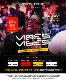 Vibes On Vibes Experience